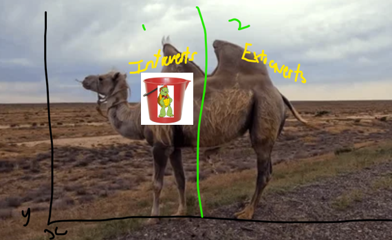 biomodal camel